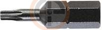 Bit Torx T 20-25/10X FES-490506 4014549124857